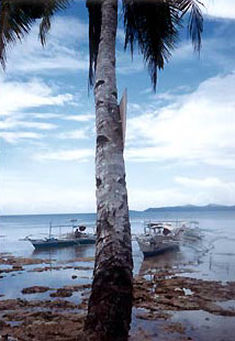 Palawan Beach at low tide